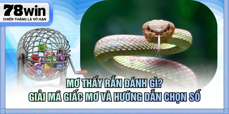 mơ thấy rắn